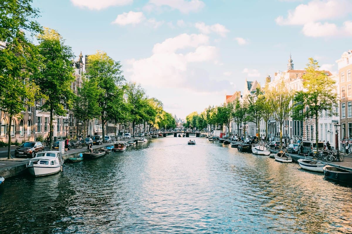 Boats moored on a tree-lined canal in Amsterdam